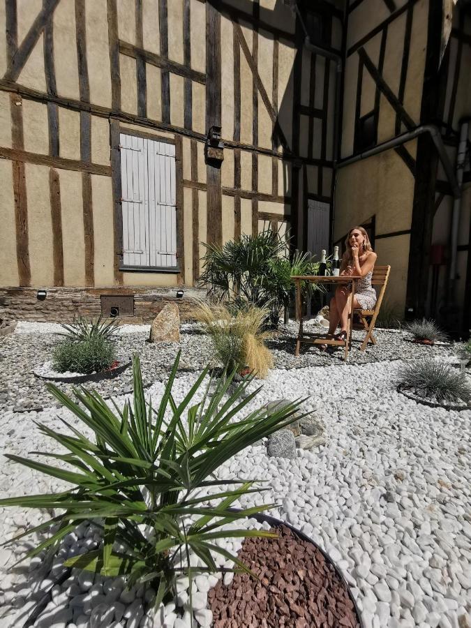 Le Papillon De La Cathedrale - Calme - Jardin - Wifi Troyes Exterior foto